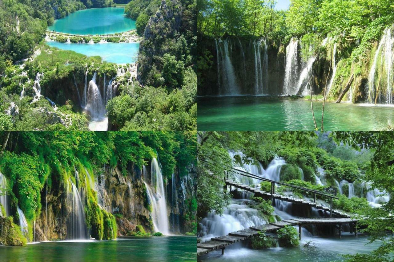 D.I.M. Holiday House Seliste Dreznicko Dış mekan fotoğraf